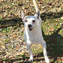 Thumbnail photo of Tres #1