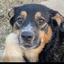 Thumbnail photo of TREASURE #1