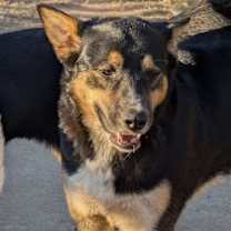 Thumbnail photo of TREASURE #2