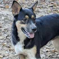 Thumbnail photo of TREASURE #4