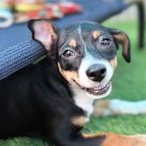 Thumbnail photo of Greta Garbo #2