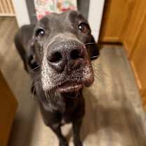 Thumbnail photo of Janet #3