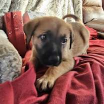 Thumbnail photo of Fredrick #3