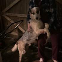 Thumbnail photo of Tex (Texas) #4