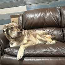 Thumbnail photo of Ol’ Red #2