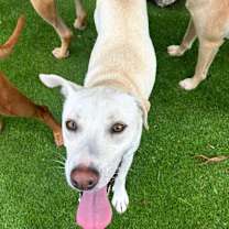 Thumbnail photo of Blue #3