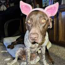 Thumbnail photo of Ruby #3