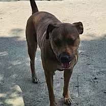 Thumbnail photo of Truly #4