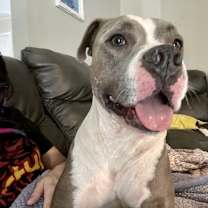 Thumbnail photo of Bo #3