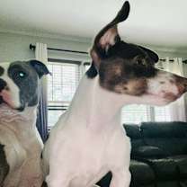 Thumbnail photo of Holly #3