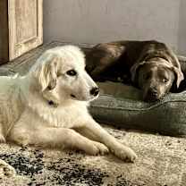 Thumbnail photo of Emma #3