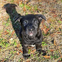 Thumbnail photo of Wednesday #1