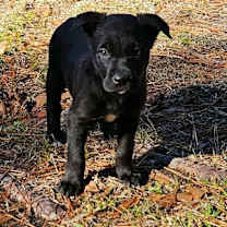 Thumbnail photo of Wednesday #2