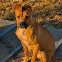 Thumbnail photo of FLOPSY #3