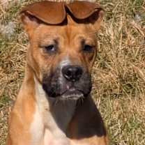 Thumbnail photo of FLOPSY #1