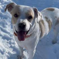 Thumbnail photo of Irwin #1