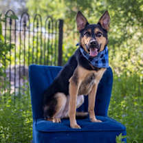 Thumbnail photo of Whim #2