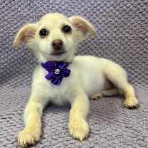 Thumbnail photo of Harper #4