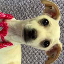 Thumbnail photo of Heidi #3