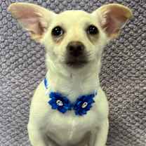 Thumbnail photo of Hope #2