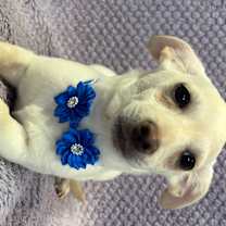 Thumbnail photo of Hope #4