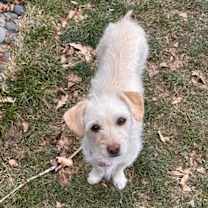 Thumbnail photo of Florence #1 #2