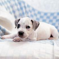 Thumbnail photo of Marvel #2