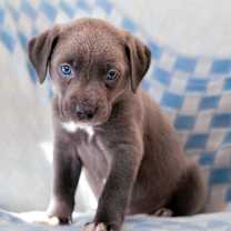 Thumbnail photo of Imagine #2