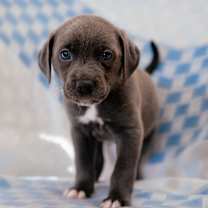 Thumbnail photo of Imagine #3