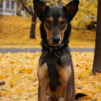 Thumbnail photo of Salvador #3