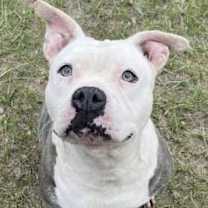 Thumbnail photo of SUNDAE #2