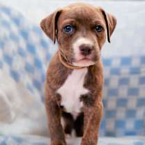 Thumbnail photo of Aspire #1