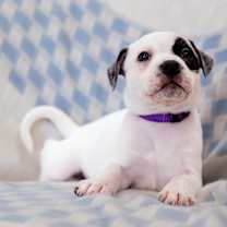 Thumbnail photo of Envision #2