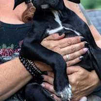 Thumbnail photo of Alexis #4