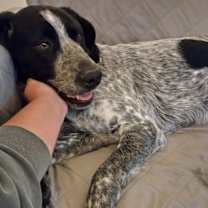 Thumbnail photo of Canyon #2