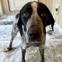 Thumbnail photo of Canyon #3