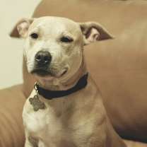 Thumbnail photo of Betty The Sweet Girl #4