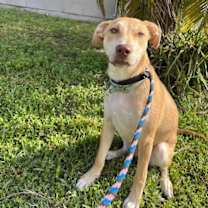 Thumbnail photo of JJ #2