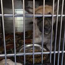 Thumbnail photo of 60006798 #1