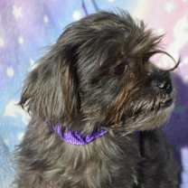 Thumbnail photo of RANGER #2