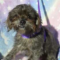 Thumbnail photo of RANGER #4