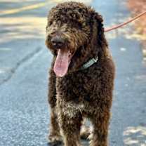 Thumbnail photo of MILO #2