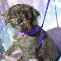 Thumbnail photo of RANGER #3