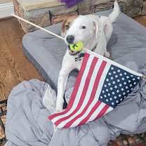 Thumbnail photo of Rusty #1