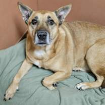 Thumbnail photo of Jasper #1