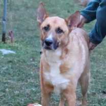 Thumbnail photo of Jaxx #2