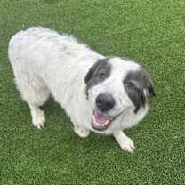 Thumbnail photo of Tessa #4