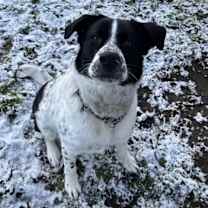 Thumbnail photo of Derick #4