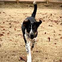 Thumbnail photo of McGerkle #4