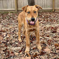 Thumbnail photo of Maxine #4